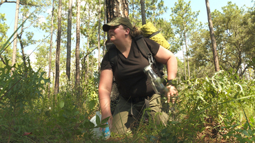 These Are The Rules Of Hunted